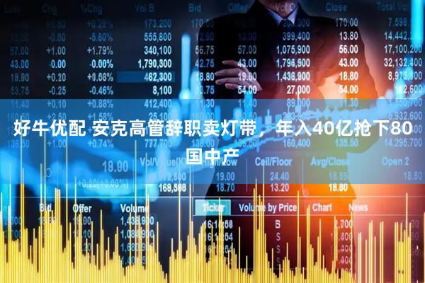 好牛优配 安克高管辞职卖灯带，年入40亿抢下80国中产