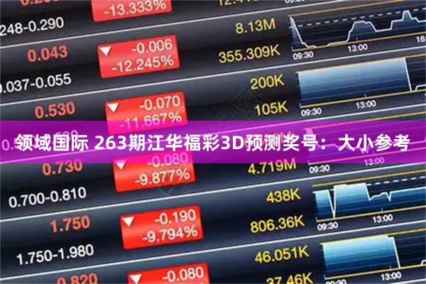 领域国际 263期江华福彩3D预测奖号:大小参考