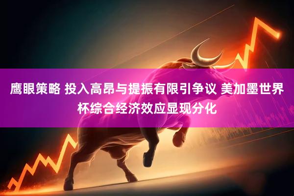 鹰眼策略 投入高昂与提振有限引争议 美加墨世界杯综合经济效应显现分化