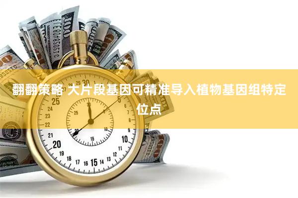 翻翻策略 大片段基因可精准导入植物基因组特定位点