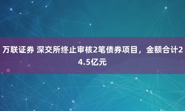 万联证券 深交所终止审核2笔债券项目，金额合计24.5亿元